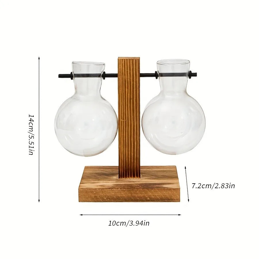 Hydroponic Glass Vase Planters Vase