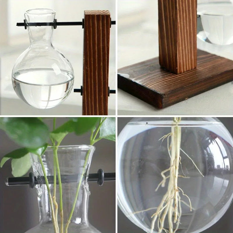 Hydroponic Glass Vase Planters Vase