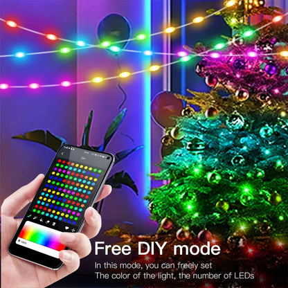 Christmas Decor Bluetooth LED