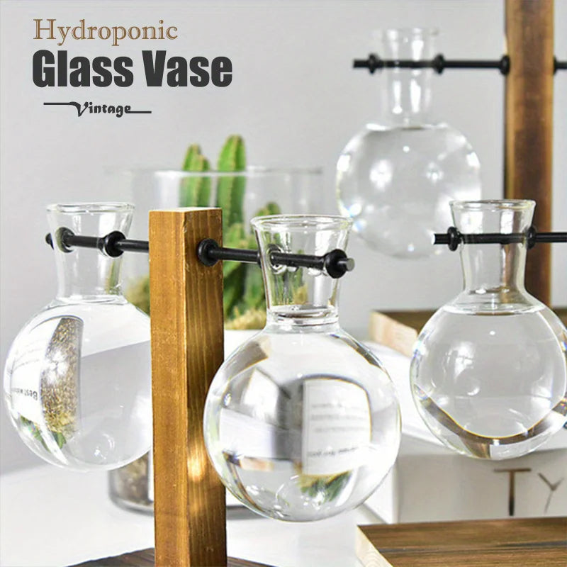 Hydroponic Glass Vase Planters Vase