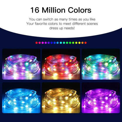 Christmas Decor Bluetooth LED