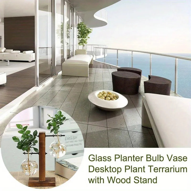 Hydroponic Glass Vase Planters Vase