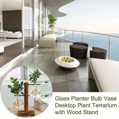 Hydroponic Glass Vase Planters Vase