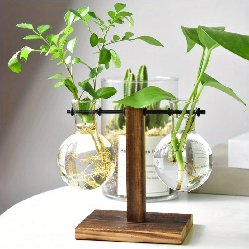 Hydroponic Glass Vase Planters Vase