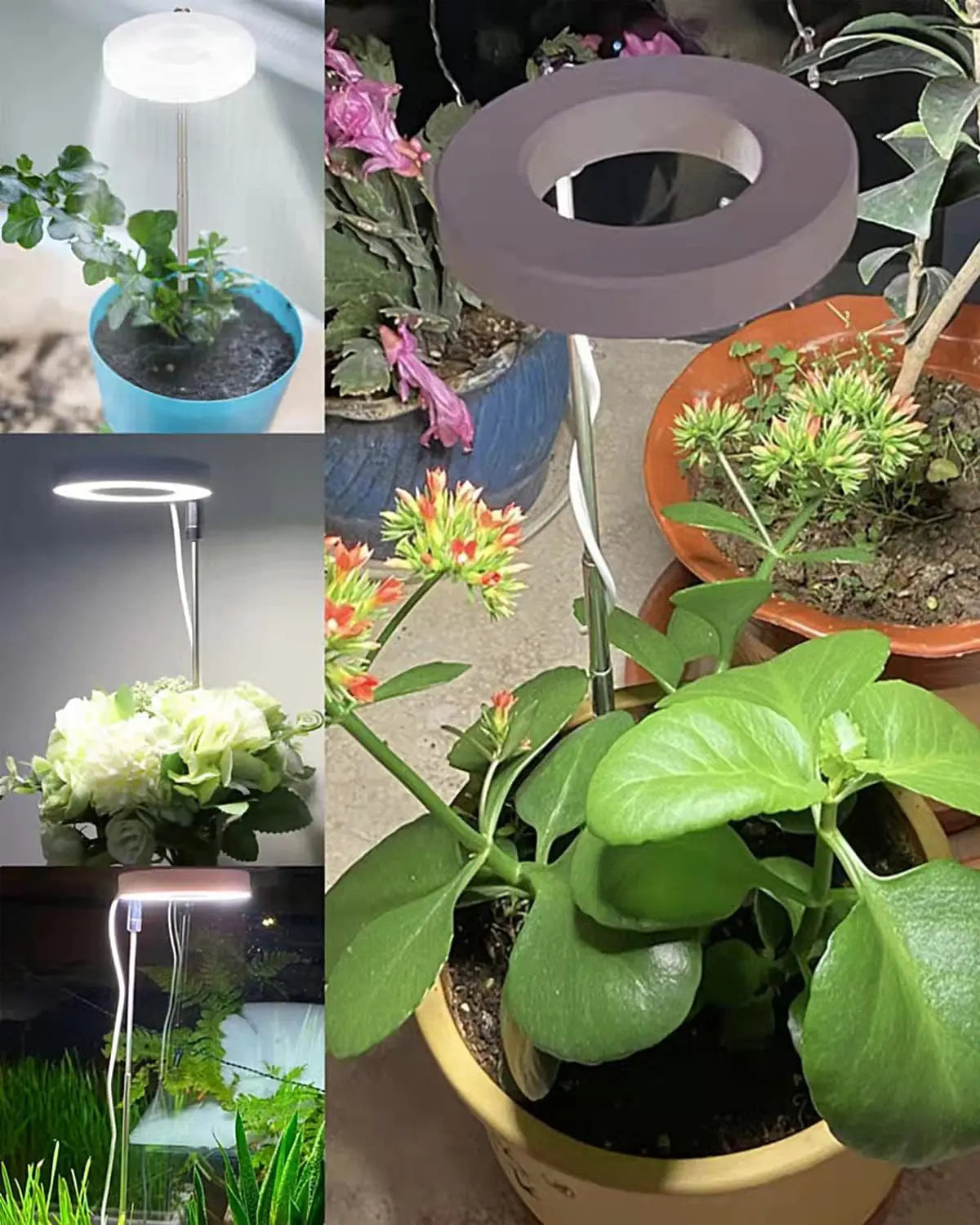 Full Spectrum LED Grow Lamp