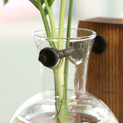 Hydroponic Glass Vase Planters Vase