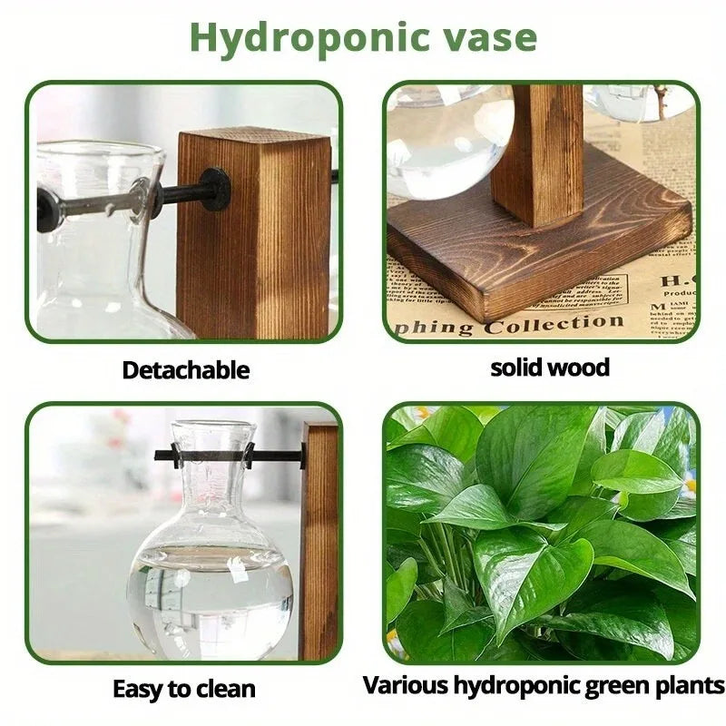 Hydroponic Glass Vase Planters Vase