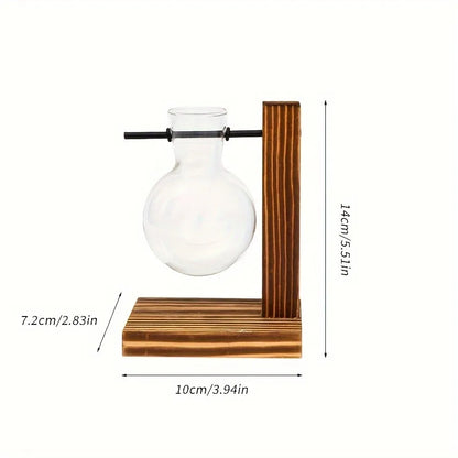 Hydroponic Glass Vase Planters Vase