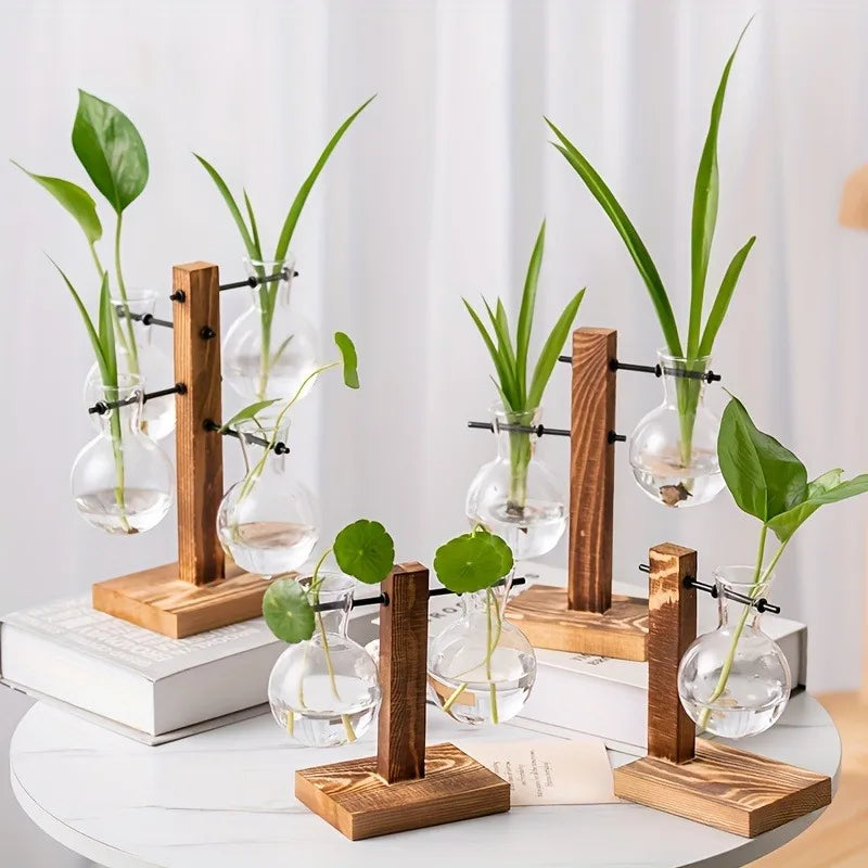Hydroponic Glass Vase Planters Vase