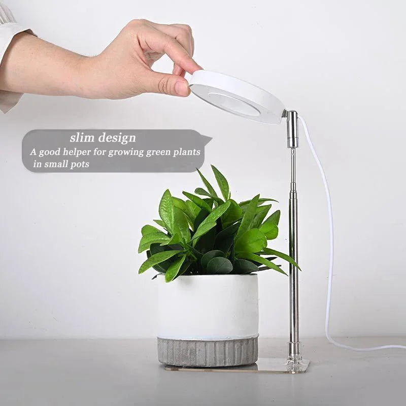 Full Spectrum LED Grow Lamp