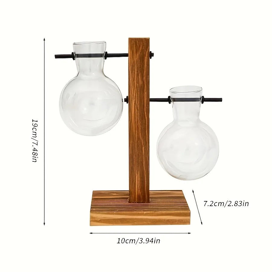 Hydroponic Glass Vase Planters Vase